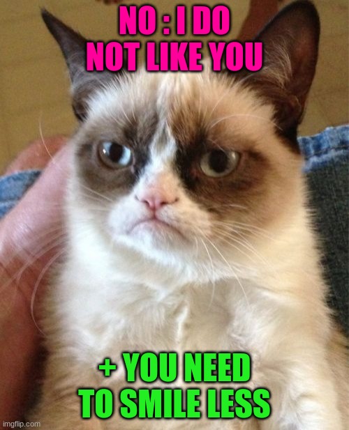 Grumpy Cat Meme | NO : I DO NOT LIKE YOU; + YOU NEED TO SMILE LESS | image tagged in memes,grumpy cat | made w/ Imgflip meme maker
