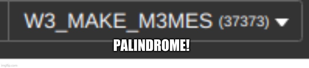 Palindrome |  PALINDROME! | image tagged in palindrome | made w/ Imgflip meme maker