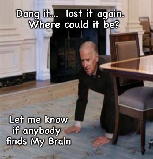 Off to see the Wizard      <neverwoke> | Dang it....  lost it again.  
Where could it be? Let me know if anybody 
finds My Brain | image tagged in biden screws america,mindless,puppet,dummycrat,globalists suck,who voted for this guy | made w/ Imgflip meme maker