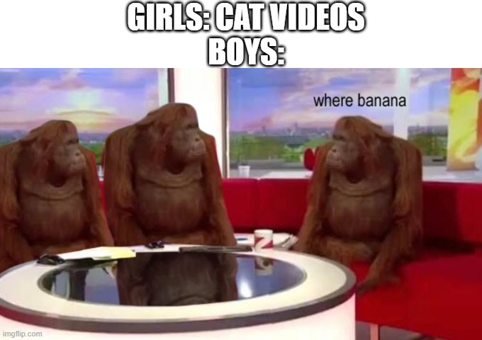 bananas | GIRLS: CAT VIDEOS
BOYS: | image tagged in where banana | made w/ Imgflip meme maker