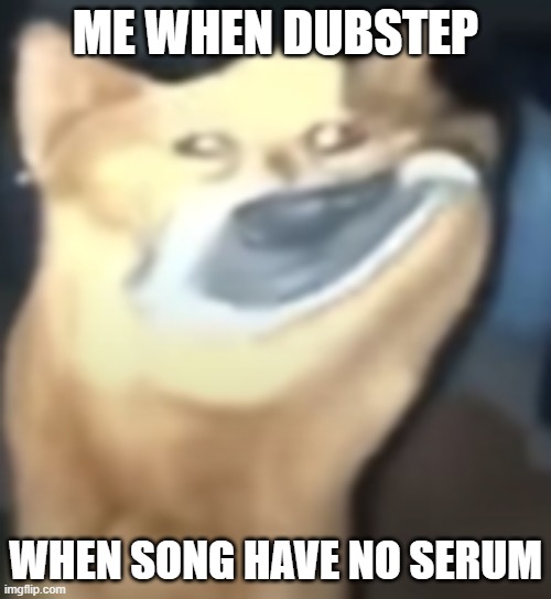 lmao look at this dog (Also this meme is very dumb like the heres johnny one i made a while back) | ME WHEN DUBSTEP; WHEN SONG HAVE NO SERUM | image tagged in dubstep,dogs | made w/ Imgflip meme maker