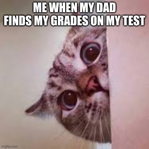 Me when my dad finds my grades | ME WHEN MY DAD FINDS MY GRADES ON MY TEST | image tagged in scared cat | made w/ Imgflip meme maker