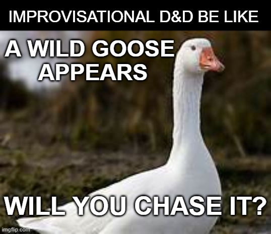 So This Happened | IMPROVISATIONAL D&D BE LIKE; A WILD GOOSE 
APPEARS; WILL YOU CHASE IT? | image tagged in dungeons and dragons,goose,chase,animal | made w/ Imgflip meme maker