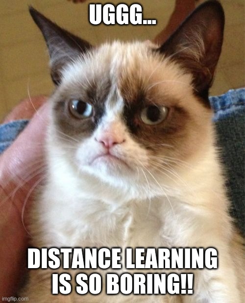 Distance Learning | UGGG... DISTANCE LEARNING IS SO BORING!! | image tagged in memes,grumpy cat,covid-19 | made w/ Imgflip meme maker