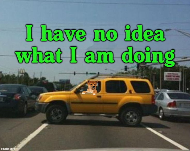 dog driving | I have no idea what I am doing | image tagged in dogs | made w/ Imgflip meme maker