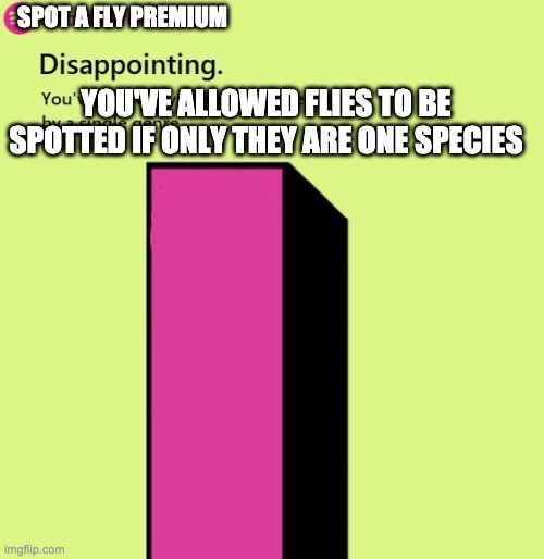 Spotify Wrapped | SPOT A FLY PREMIUM YOU'VE ALLOWED FLIES TO BE SPOTTED IF ONLY THEY ARE ONE SPECIES | image tagged in spotify wrapped | made w/ Imgflip meme maker