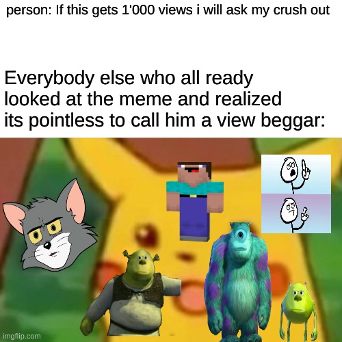 true | person: If this gets 1'000 views i will ask my crush out; Everybody else who all ready looked at the meme and realized its pointless to call him a view beggar: | image tagged in memes,surprised pikachu | made w/ Imgflip meme maker