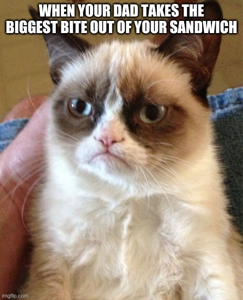 Grumpy Cat | WHEN YOUR DAD TAKES THE BIGGEST BITE OUT OF YOUR SANDWICH | image tagged in memes,grumpy cat | made w/ Imgflip meme maker