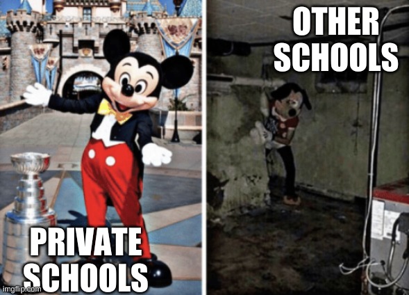 Basement Mickey Mouse | OTHER SCHOOLS; PRIVATE SCHOOLS | image tagged in basement mickey mouse | made w/ Imgflip meme maker