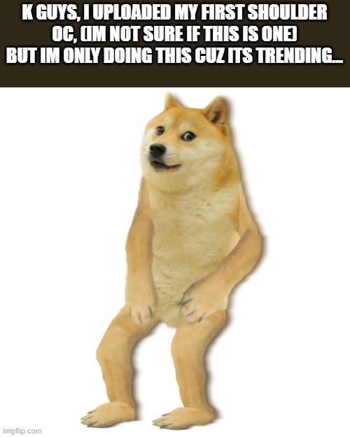 K GUYS, I UPLOADED MY FIRST SHOULDER OC, (IM NOT SURE IF THIS IS ONE) BUT IM ONLY DOING THIS CUZ ITS TRENDING... | made w/ Imgflip meme maker