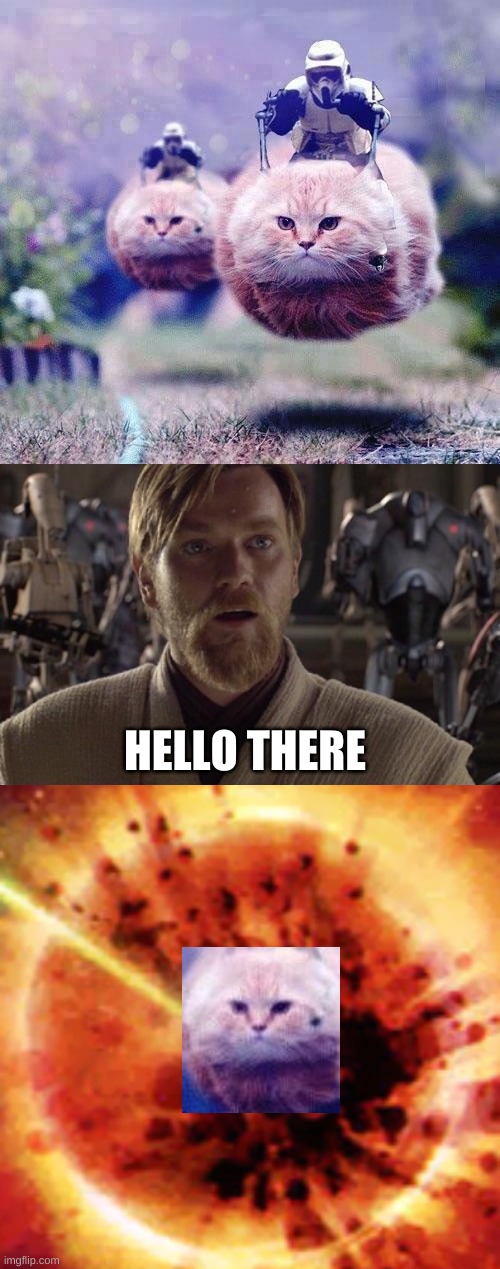 HELLO THERE | image tagged in cats | made w/ Imgflip meme maker