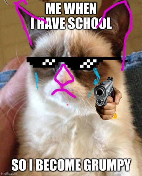 grumpyy | ME WHEN I HAVE SCHOOL; SO I BECOME GRUMPY | image tagged in memes,grumpy cat | made w/ Imgflip meme maker
