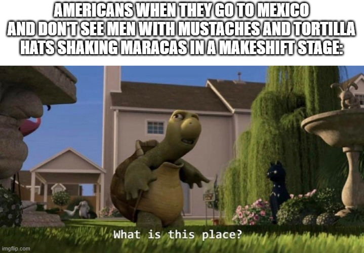 What is this place | AMERICANS WHEN THEY GO TO MEXICO AND DON'T SEE MEN WITH MUSTACHES AND TORTILLA HATS SHAKING MARACAS IN A MAKESHIFT STAGE: | image tagged in what is this place,mexico,america | made w/ Imgflip meme maker