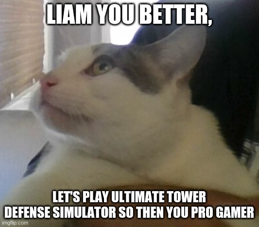 W-What is happening | LIAM YOU BETTER, LET'S PLAY ULTIMATE TOWER DEFENSE SIMULATOR SO THEN YOU PRO GAMER | image tagged in w-what is happening,idk | made w/ Imgflip meme maker