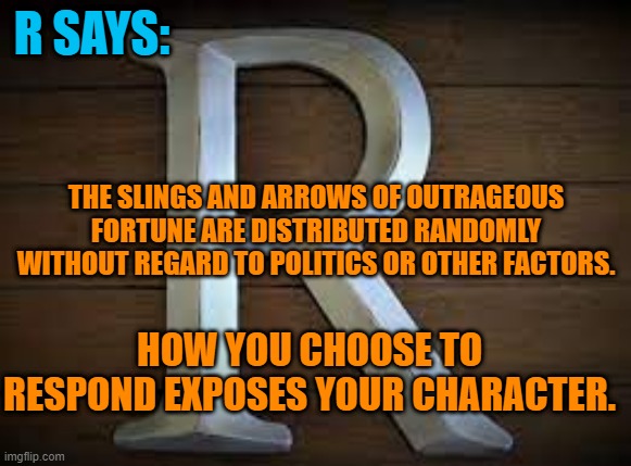Choose Wisely And You Will Appear To Be Wise/ | R SAYS:; THE SLINGS AND ARROWS OF OUTRAGEOUS FORTUNE ARE DISTRIBUTED RANDOMLY WITHOUT REGARD TO POLITICS OR OTHER FACTORS. HOW YOU CHOOSE TO RESPOND EXPOSES YOUR CHARACTER. | image tagged in politics | made w/ Imgflip meme maker