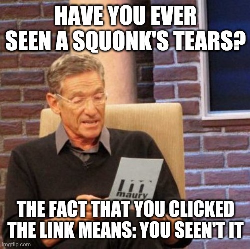 Maury Lie Detector Meme | HAVE YOU EVER SEEN A SQUONK'S TEARS? THE FACT THAT YOU CLICKED THE LINK MEANS: YOU SEEN'T IT | image tagged in memes,maury lie detector | made w/ Imgflip meme maker