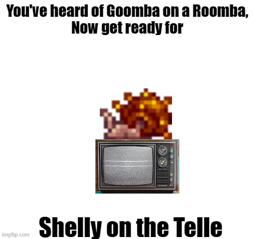 Shelly on the Telle | You've heard of Goomba on a Roomba,
Now get ready for; Shelly on the Telle | image tagged in blank white template | made w/ Imgflip meme maker