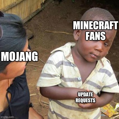Third World Skeptical Kid Meme | MINECRAFT FANS; MOJANG; UPDATE REQUESTS | image tagged in memes,third world skeptical kid | made w/ Imgflip meme maker