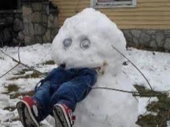 oop- | image tagged in memes,funny,snowman,wtf | made w/ Imgflip meme maker