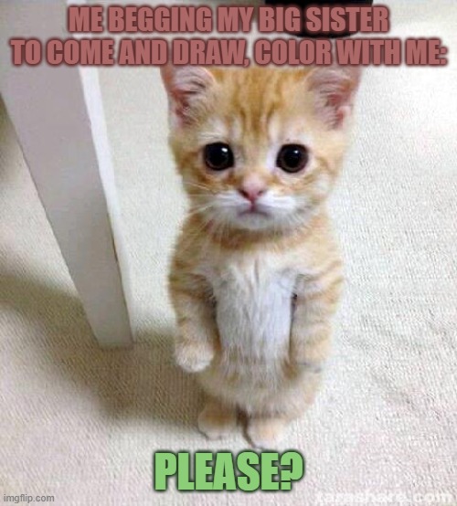 This is SOOO me when I beg my big sister to draw and color with me. | ME BEGGING MY BIG SISTER TO COME AND DRAW, COLOR WITH ME:; PLEASE? | image tagged in memes,cute cat | made w/ Imgflip meme maker