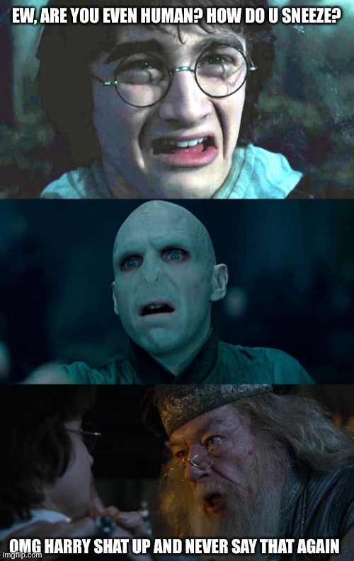 why so serious meme harry potter