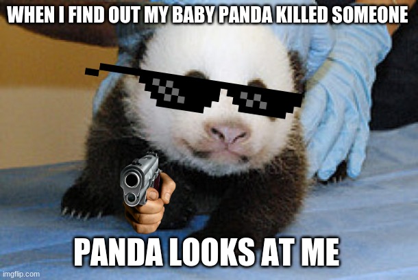 Killer panda | WHEN I FIND OUT MY BABY PANDA KILLED SOMEONE; PANDA LOOKS AT ME | image tagged in funny,memes | made w/ Imgflip meme maker
