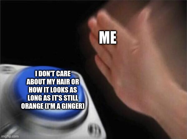 I actually am this way | ME; I DON'T CARE ABOUT MY HAIR OR HOW IT LOOKS AS LONG AS IT'S STILL ORANGE (I'M A GINGER) | image tagged in memes,blank nut button | made w/ Imgflip meme maker