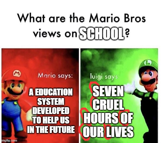 Mario Bros Views | SCHOOL; A EDUCATION SYSTEM DEVELOPED TO HELP US IN THE FUTURE; SEVEN CRUEL HOURS OF OUR LIVES | image tagged in mario bros views,school,crazy luigi | made w/ Imgflip meme maker