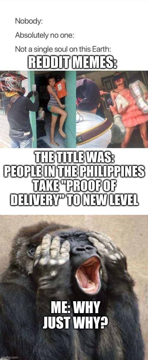 WHY | REDDIT MEMES:; THE TITLE WAS: PEOPLE IN THE PHILIPPINES TAKE "PROOF OF DELIVERY" TO NEW LEVEL; ME: WHY JUST WHY? | image tagged in nobody absolutely no one,my eyes gorilla | made w/ Imgflip meme maker