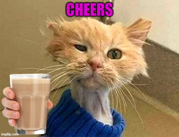 CHEERS | image tagged in wtf-cat | made w/ Imgflip meme maker
