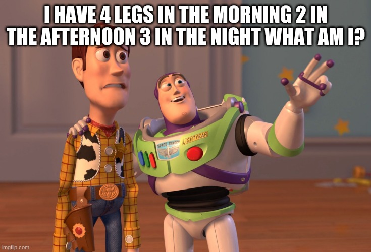 X, X Everywhere | I HAVE 4 LEGS IN THE MORNING 2 IN THE AFTERNOON 3 IN THE NIGHT WHAT AM I? | image tagged in memes,riddle | made w/ Imgflip meme maker