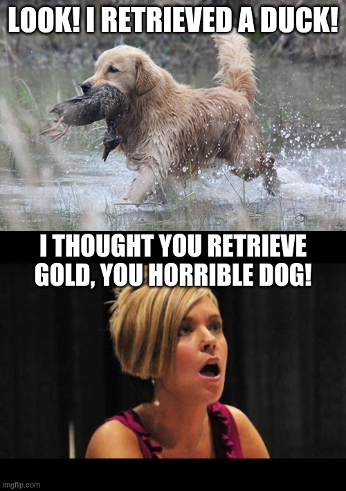 Golden Retrievers don't retrieve gold. |  LOOK! I RETRIEVED A DUCK! I THOUGHT YOU RETRIEVE GOLD, YOU HORRIBLE DOG! | image tagged in karen,dogs,golden retriever,puppy,gold | made w/ Imgflip meme maker