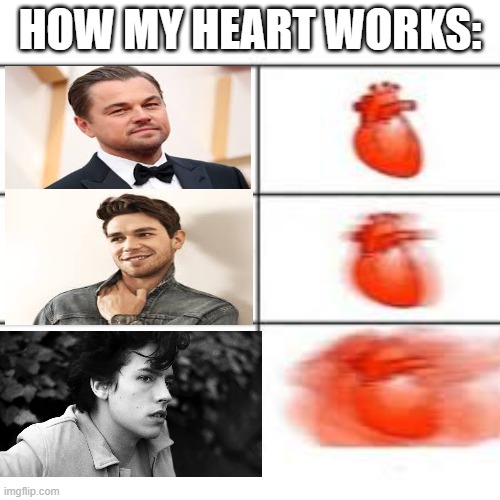 How my heart works | HOW MY HEART WORKS: | image tagged in cuteness | made w/ Imgflip meme maker