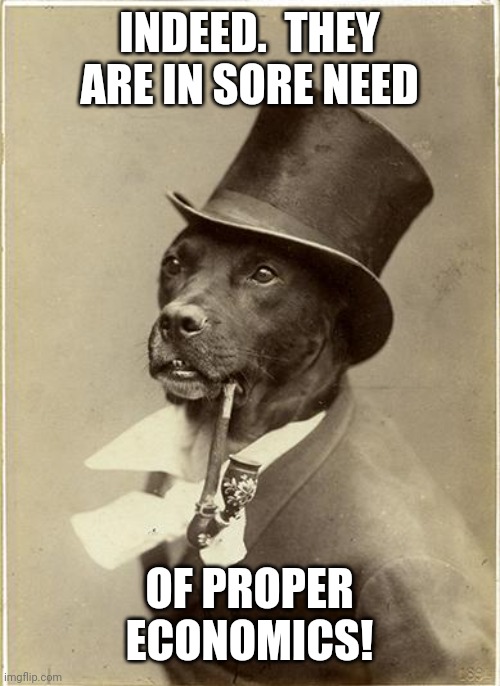 Old Money Dog | INDEED.  THEY ARE IN SORE NEED OF PROPER ECONOMICS! | image tagged in old money dog | made w/ Imgflip meme maker