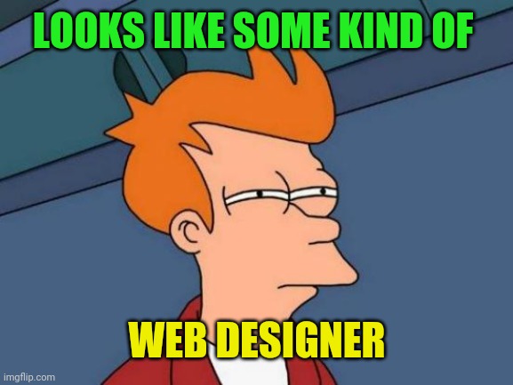 Futurama Fry Meme | LOOKS LIKE SOME KIND OF WEB DESIGNER | image tagged in memes,futurama fry | made w/ Imgflip meme maker