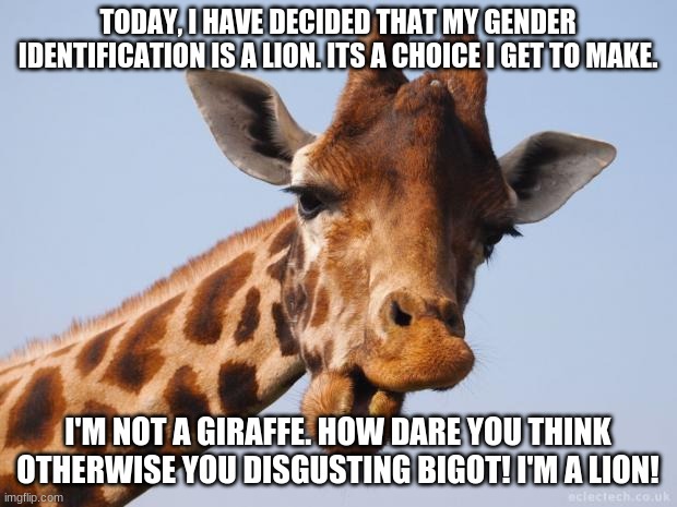 Libs be like | TODAY, I HAVE DECIDED THAT MY GENDER IDENTIFICATION IS A LION. ITS A CHOICE I GET TO MAKE. I'M NOT A GIRAFFE. HOW DARE YOU THINK OTHERWISE YOU DISGUSTING BIGOT! I'M A LION! | image tagged in comeback giraffe,liberal logic,silence liberal,lion,identify,gender identity | made w/ Imgflip meme maker