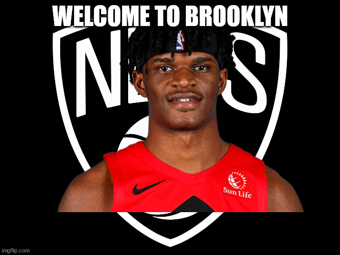 alize johnson welcome to brooklyn | WELCOME TO BROOKLYN | image tagged in alize johnson,nets | made w/ Imgflip meme maker