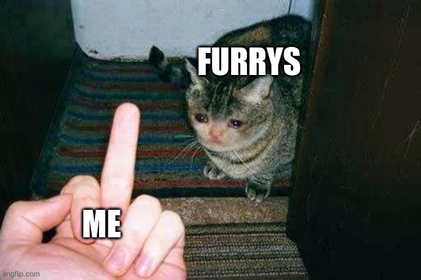 Sad Cat Being Flipped Off | FURRYS; ME | image tagged in sad cat being flipped off | made w/ Imgflip meme maker