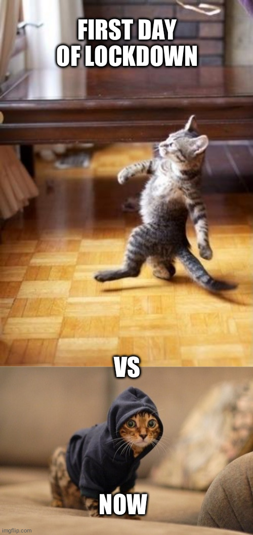 FIRST DAY OF LOCKDOWN; VS; NOW | image tagged in memes,cool cat stroll,hoody cat | made w/ Imgflip meme maker