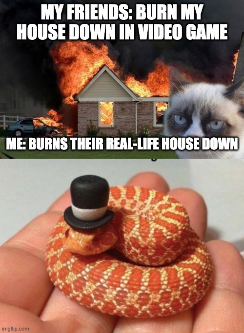 Fancy | MY FRIENDS: BURN MY HOUSE DOWN IN VIDEO GAME; ME: BURNS THEIR REAL-LIFE HOUSE DOWN | image tagged in memes,burn kitty,snake,fancy,house | made w/ Imgflip meme maker