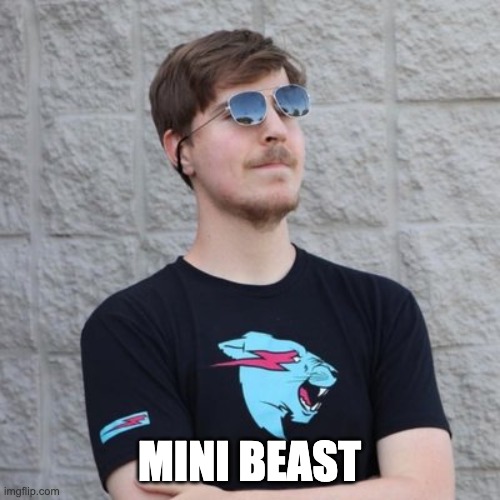 Mr. Beast | MINI BEAST | image tagged in mr beast | made w/ Imgflip meme maker