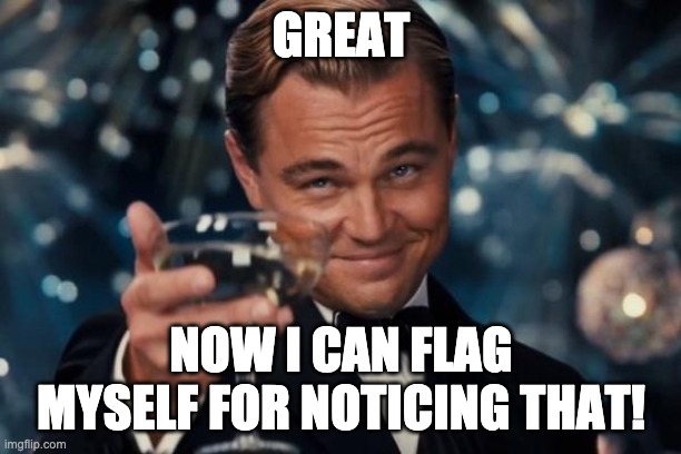 Leonardo Dicaprio Cheers Meme | GREAT NOW I CAN FLAG MYSELF FOR NOTICING THAT! | image tagged in memes,leonardo dicaprio cheers | made w/ Imgflip meme maker