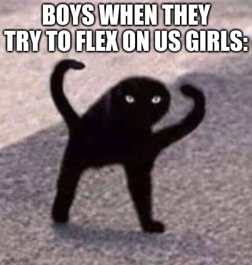 what we have to deal with every day | BOYS WHEN THEY TRY TO FLEX ON US GIRLS: | image tagged in flex,not impressed,never will be | made w/ Imgflip meme maker