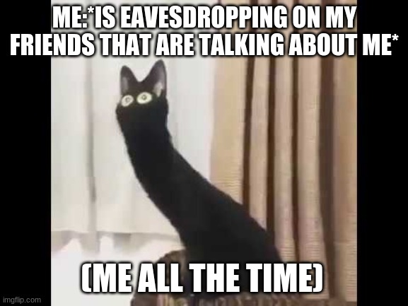 me | ME:*IS EAVESDROPPING ON MY FRIENDS THAT ARE TALKING ABOUT ME*; (ME ALL THE TIME) | image tagged in eavesdropping,cat,meme | made w/ Imgflip meme maker