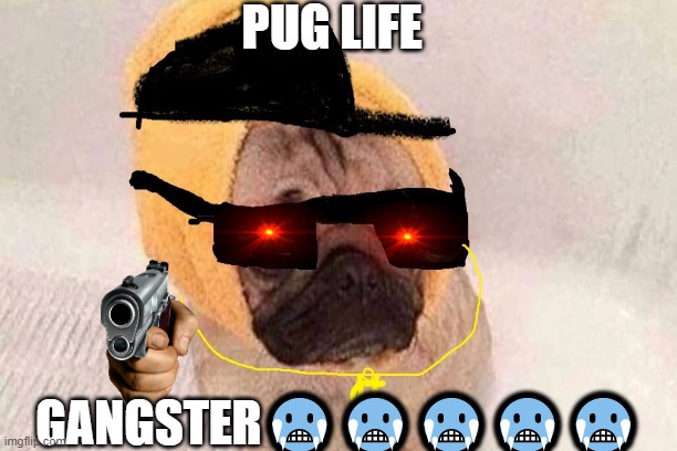 #PUG LIFE | PUG LIFE; GANGSTER🥶🥶🥶🥶🥶 | image tagged in funny | made w/ Imgflip meme maker