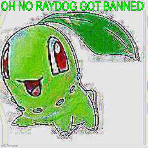 OH NO RAYDOG GOT BANNED | image tagged in deep fried chikorita | made w/ Imgflip meme maker