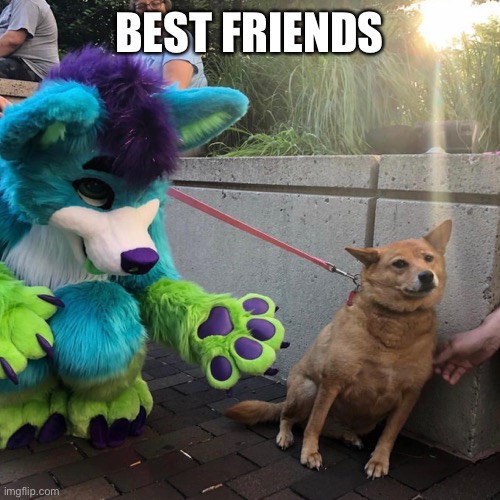 It’s so cute | BEST FRIENDS | image tagged in dog afraid of furry | made w/ Imgflip meme maker