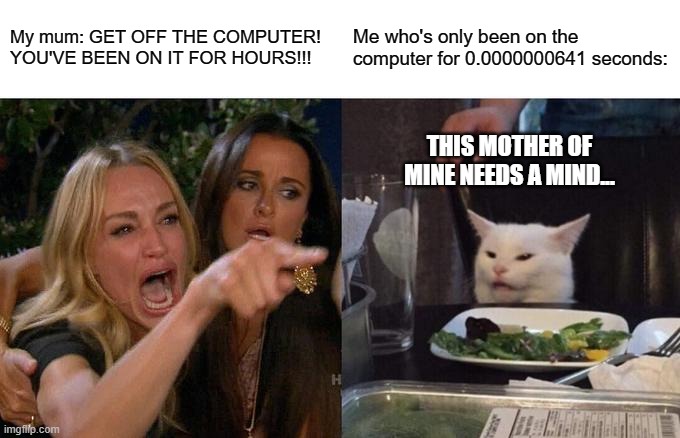 The time you hate... | My mum: GET OFF THE COMPUTER! YOU'VE BEEN ON IT FOR HOURS!!! Me who's only been on the computer for 0.0000000641 seconds:; THIS MOTHER OF MINE NEEDS A MIND... | image tagged in memes,woman yelling at cat | made w/ Imgflip meme maker