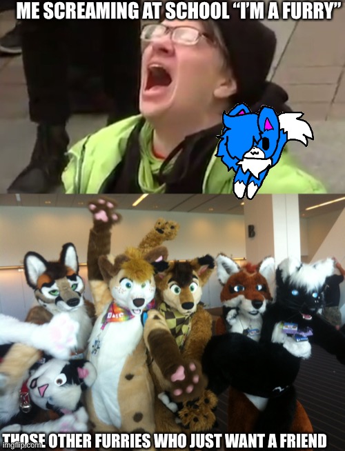 Furry friends | ME SCREAMING AT SCHOOL “I’M A FURRY”; THOSE OTHER FURRIES WHO JUST WANT A FRIEND | image tagged in screaming liberal,furries | made w/ Imgflip meme maker