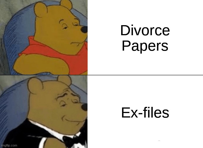 (laughs) | Divorce Papers; Ex-files | image tagged in memes,tuxedo winnie the pooh | made w/ Imgflip meme maker